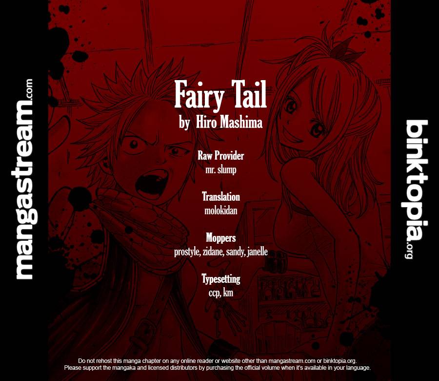 Fairy Tail 219 20