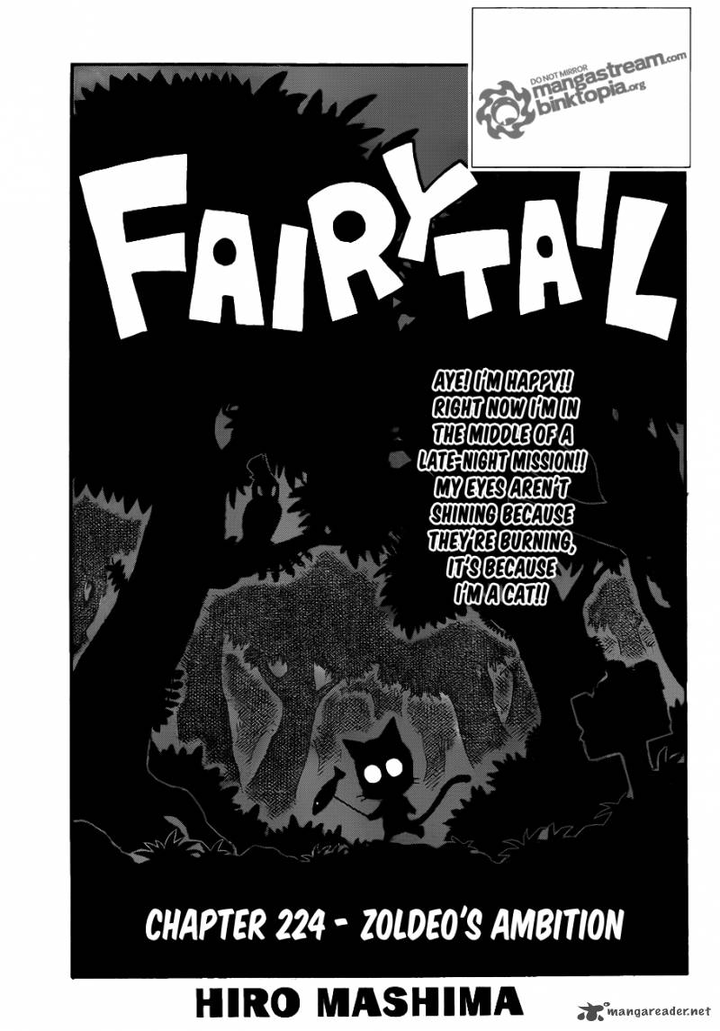 Fairy Tail 224 1