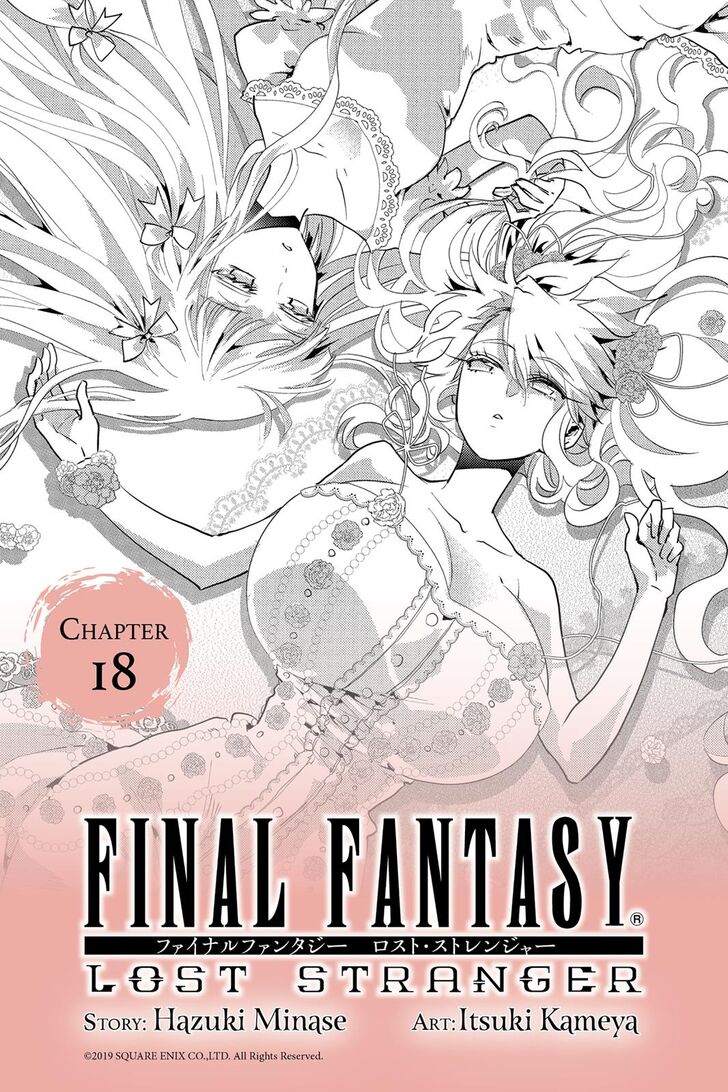 Final Fantasy Lost Stranger 18 1