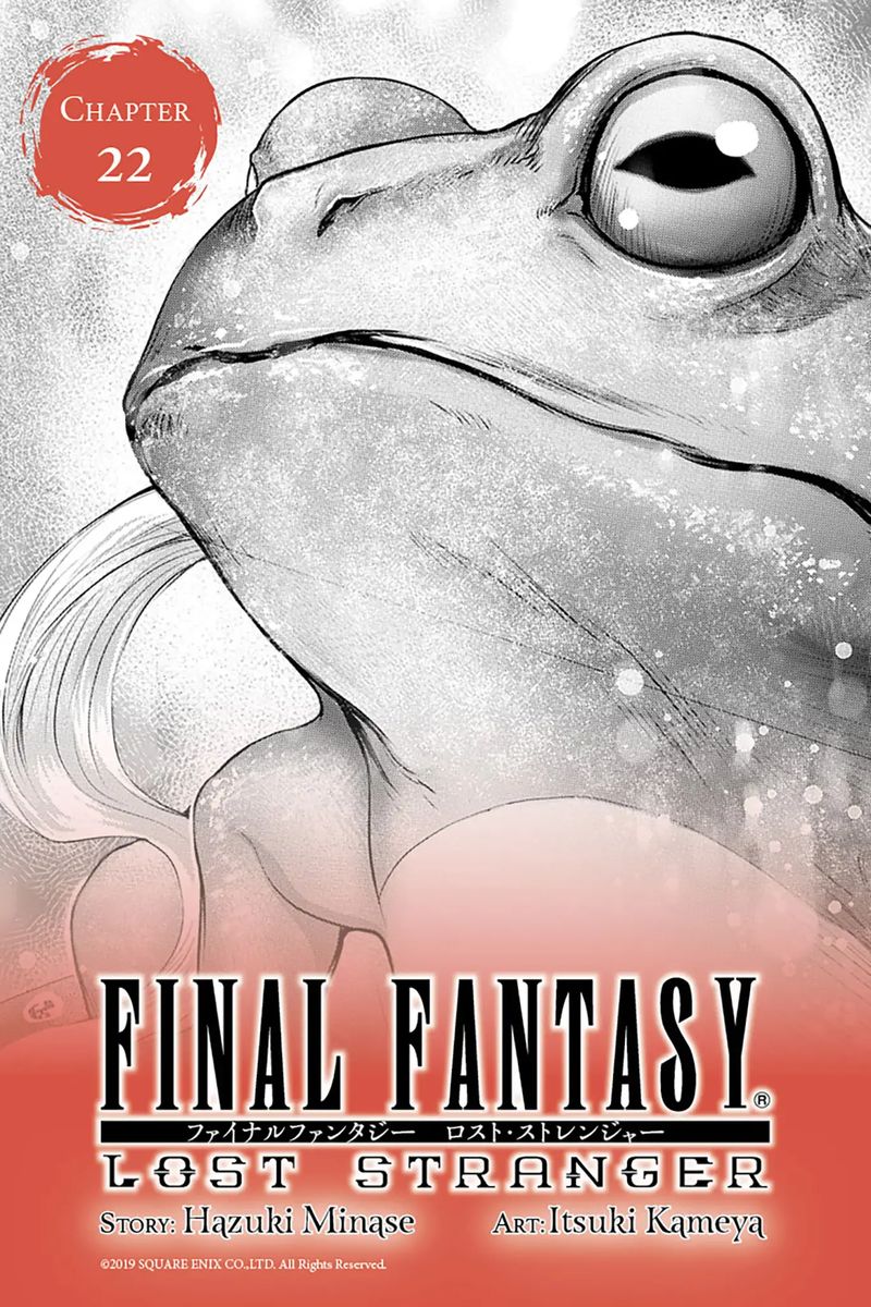 Final Fantasy Lost Stranger 22 1