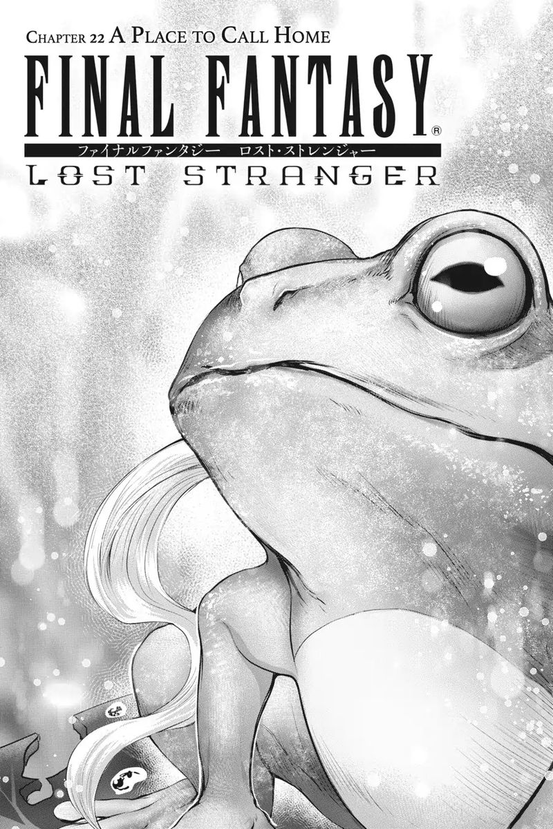 Final Fantasy Lost Stranger 22 2