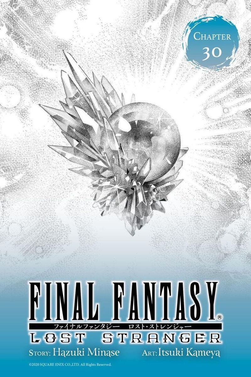 Final Fantasy Lost Stranger 30 1