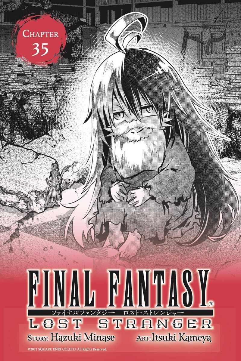 Final Fantasy Lost Stranger 35 1