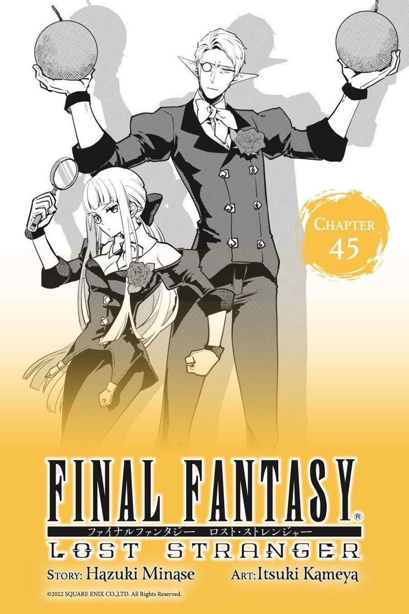 Final Fantasy Lost Stranger 45 1