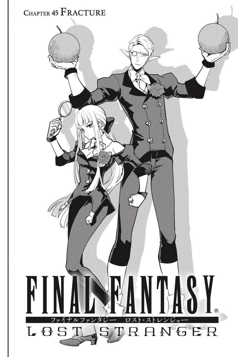 Final Fantasy Lost Stranger 45 3
