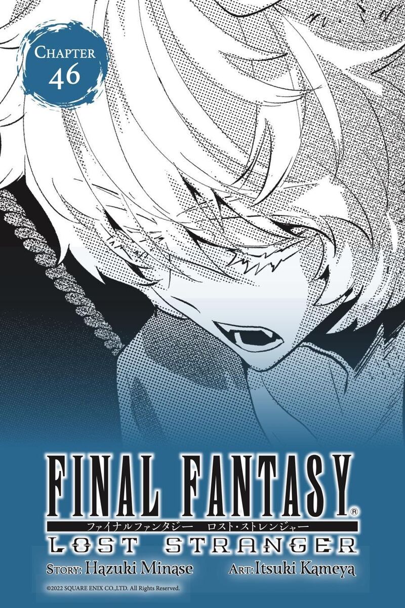 Final Fantasy Lost Stranger 46 1