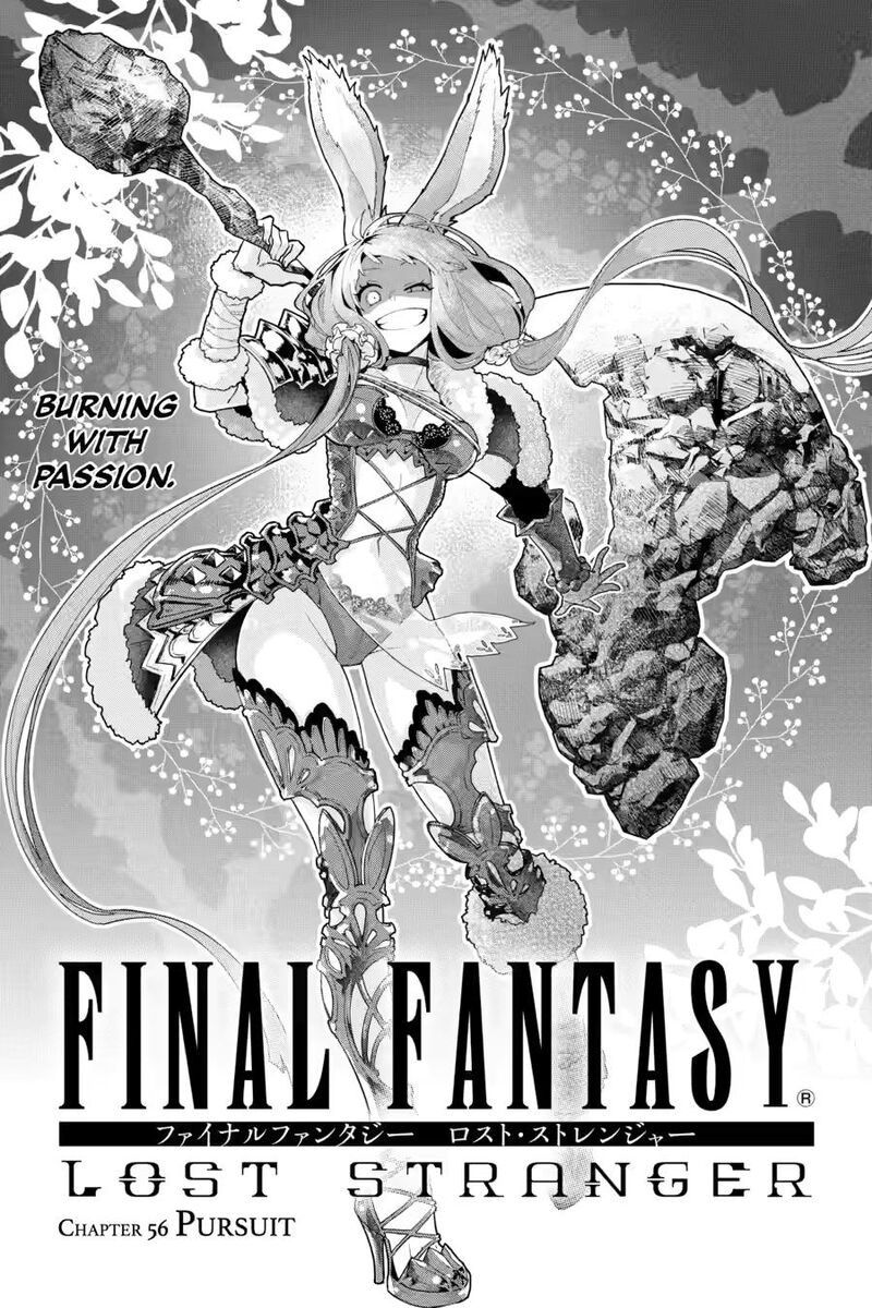 Final Fantasy Lost Stranger 56 2
