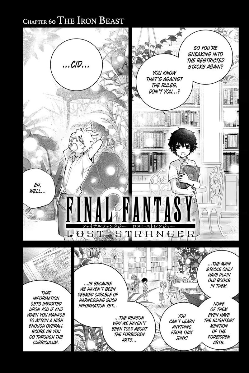 Final Fantasy Lost Stranger 60 1