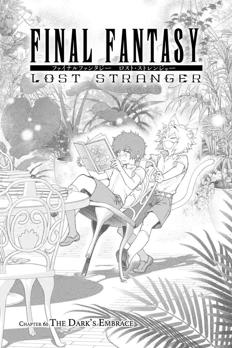 Final Fantasy Lost Stranger 61 3