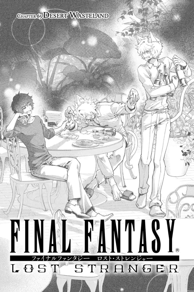 Final Fantasy Lost Stranger 65 3