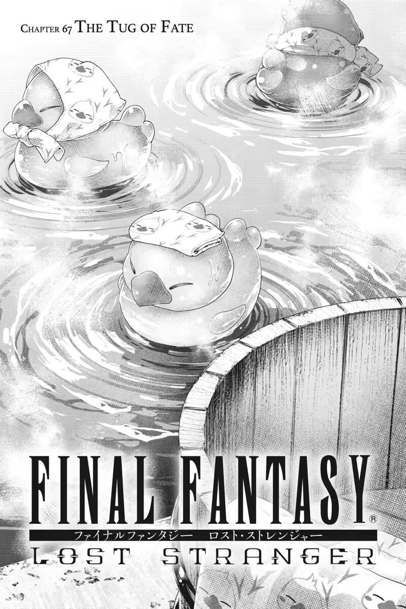 Final Fantasy Lost Stranger 67 1