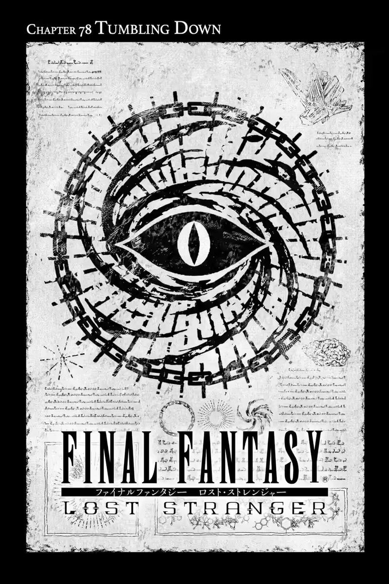 Final Fantasy Lost Stranger 78 1