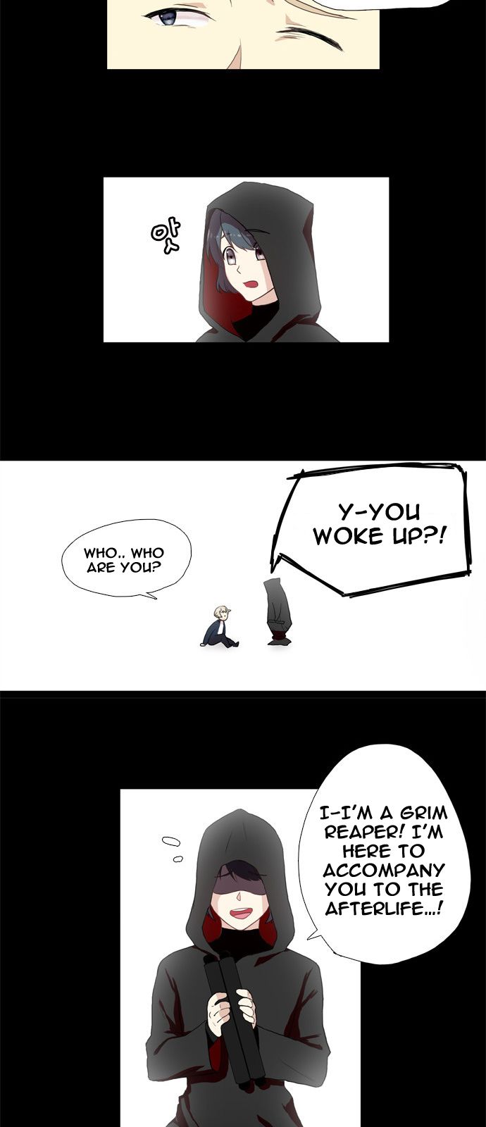 Flying In The Darkness 1 11