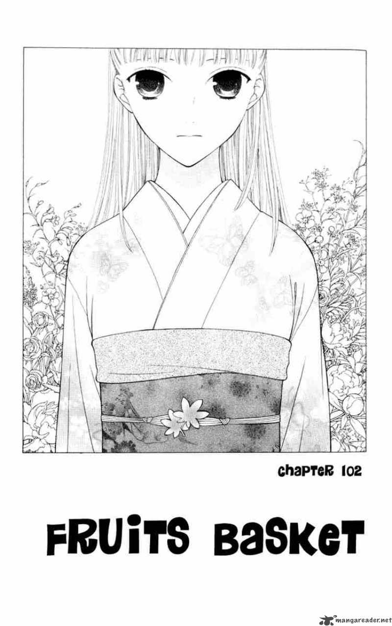 Fruits Basket 102 2