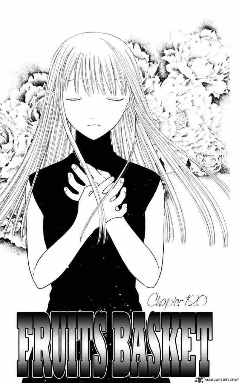 Fruits Basket 120 5