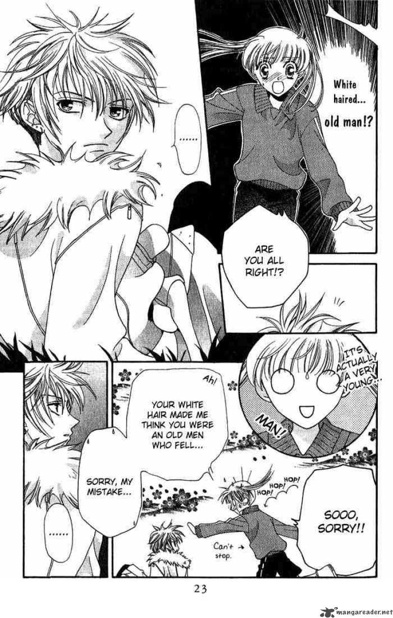 Fruits Basket 13 21