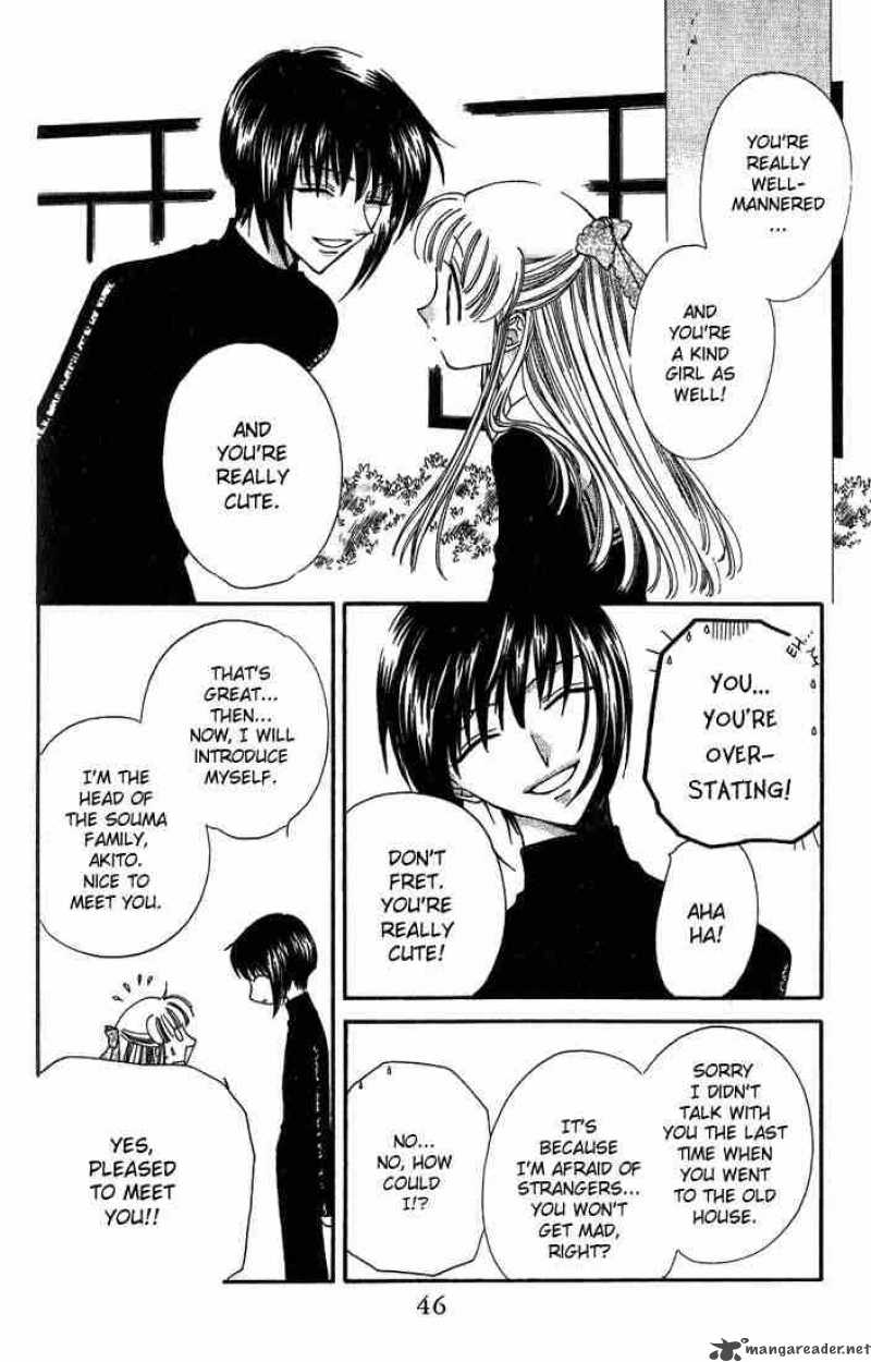 Fruits Basket 20 8