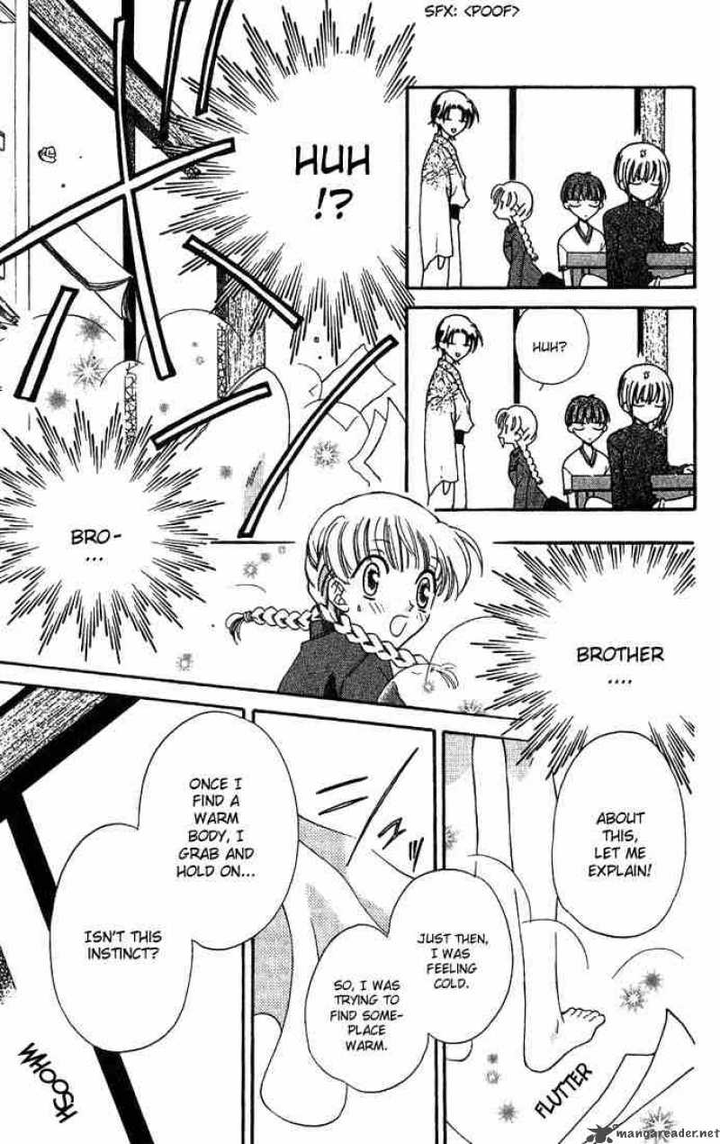 Fruits Basket 21 11