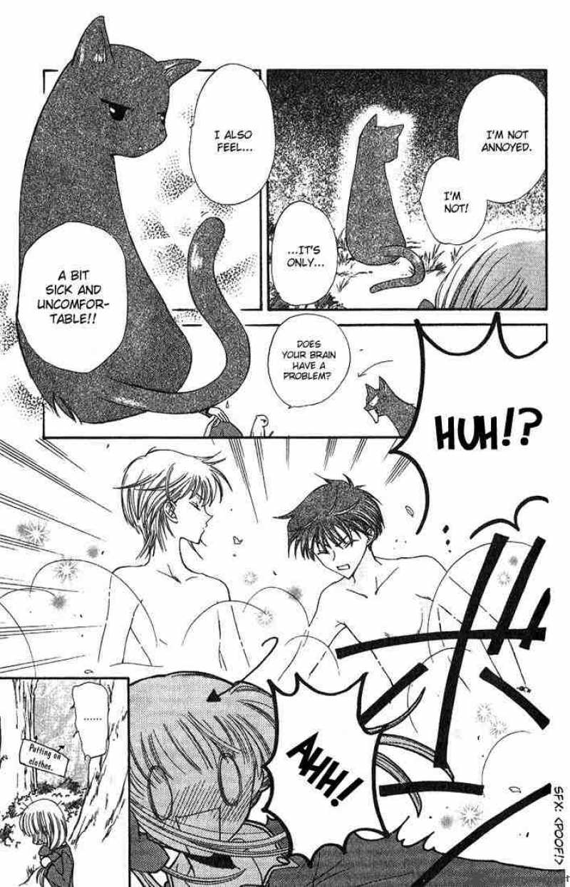 Fruits Basket 25 30