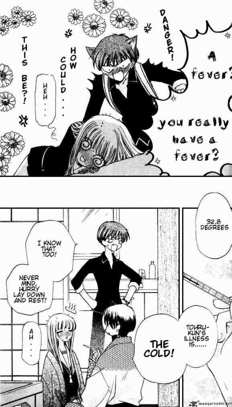 Fruits Basket 30 11