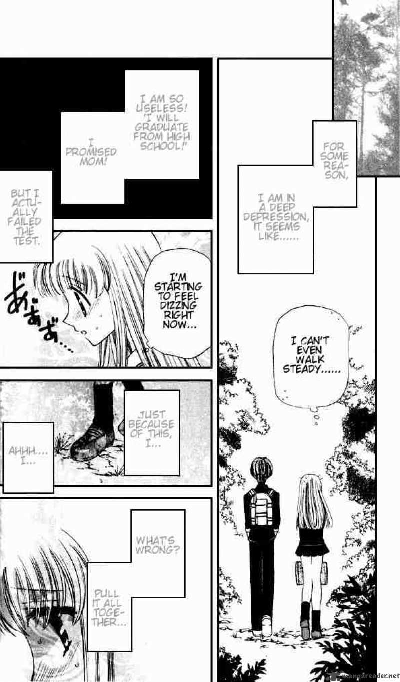 Fruits Basket 30 8