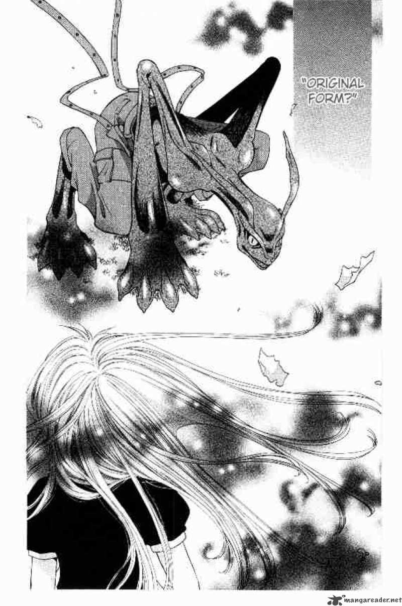 Fruits Basket 33 2