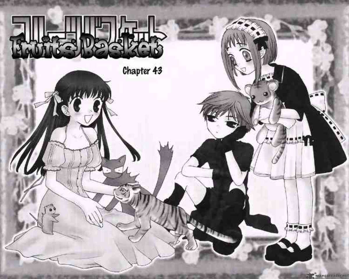 Fruits Basket 43 4