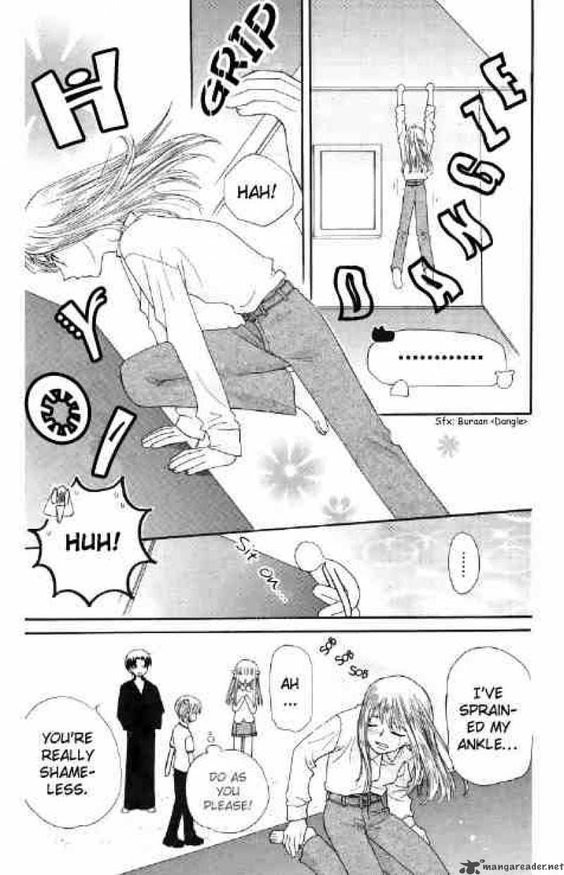 Fruits Basket 44 27