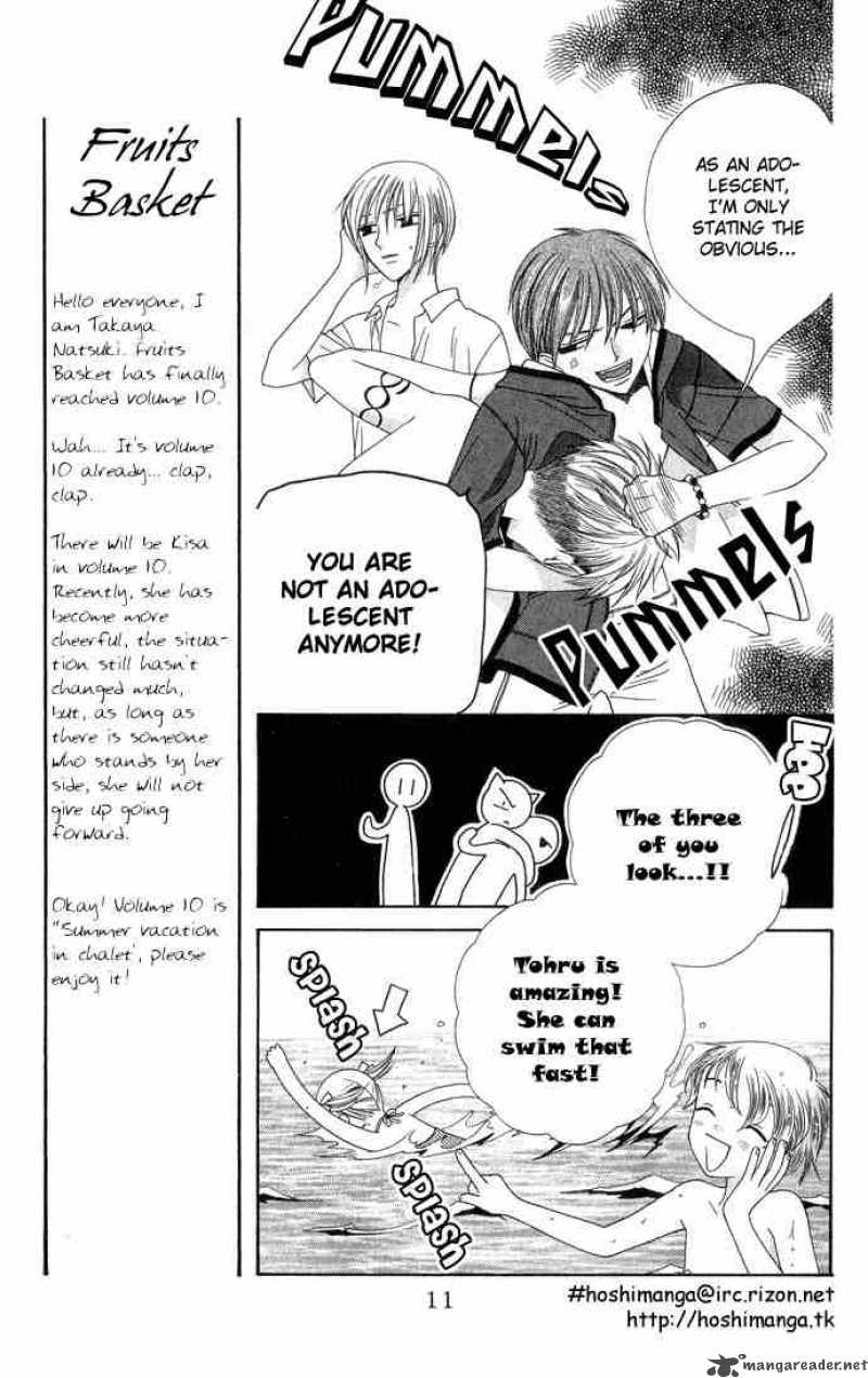 Fruits Basket 54 10