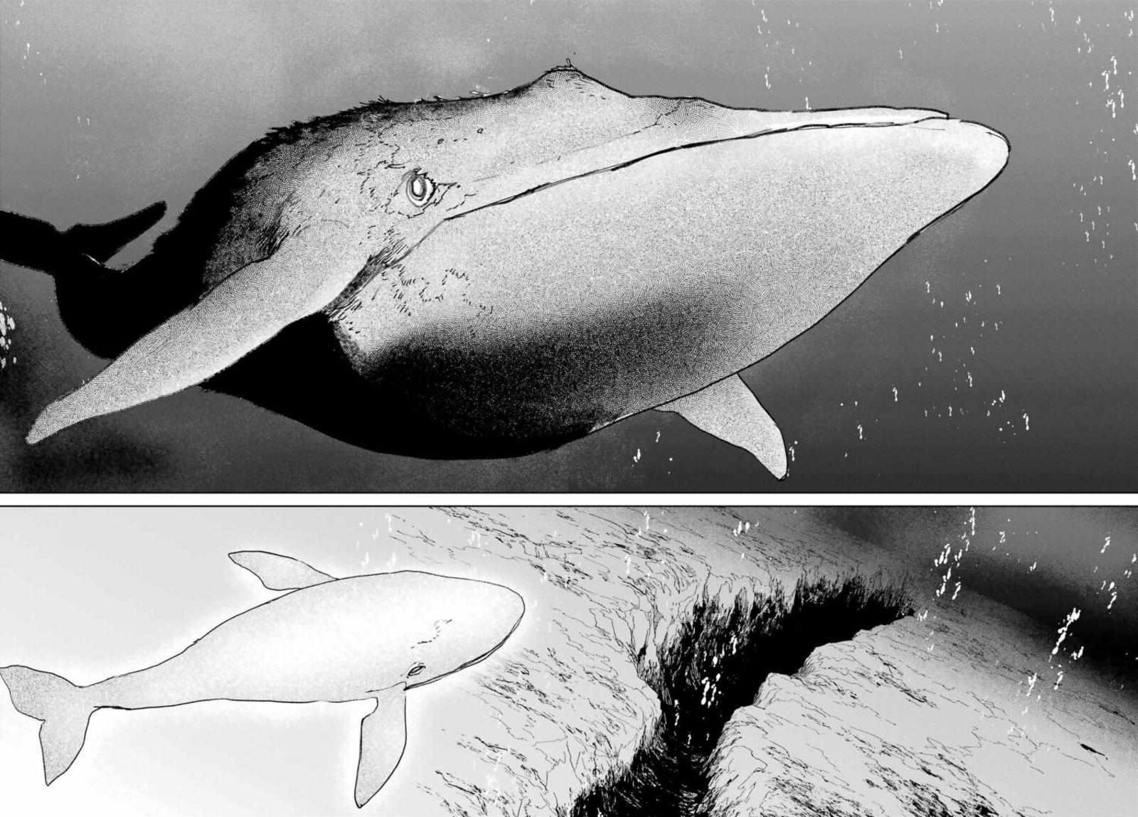 Gakuen Sensuikan Tai Mermaid Girls 15 13