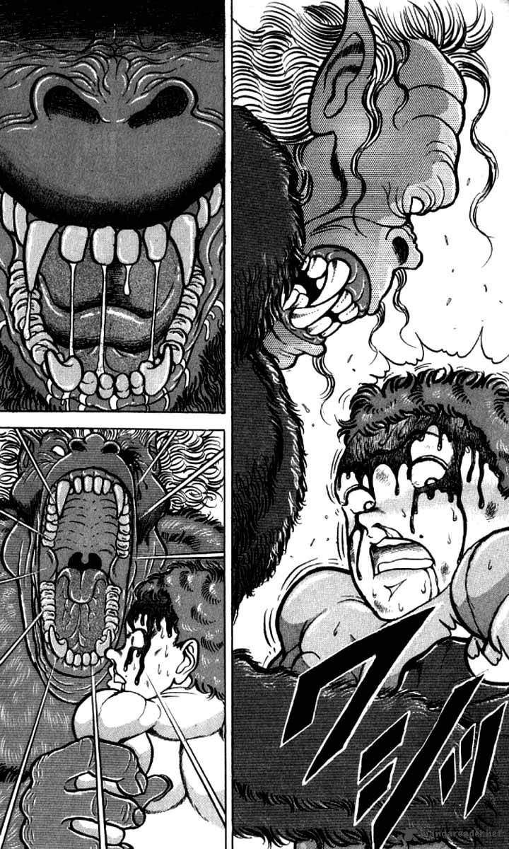 Grappler Baki 100 8