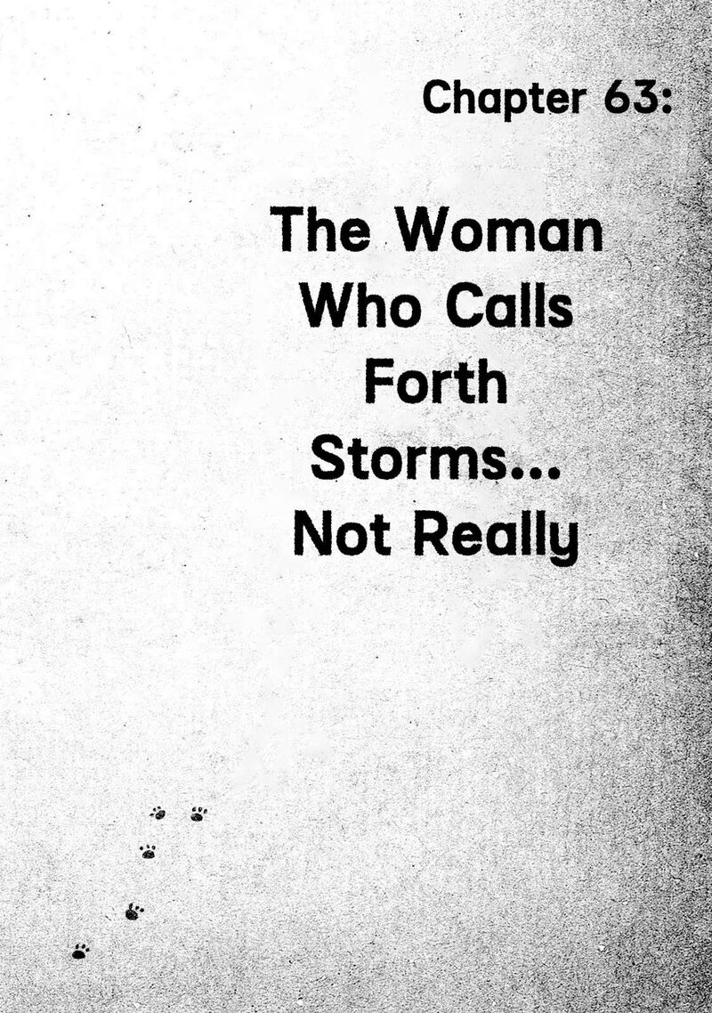 Guns And Stamps 63 2