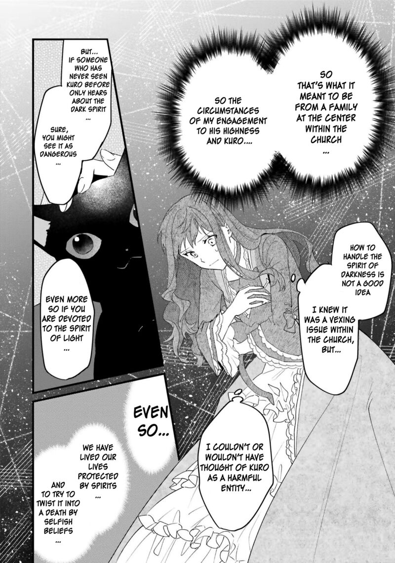 Gyakkou Shita Akuyaku Reijou Wa Naze Ka Maryoku Wo Ushinattanode Shinsou No Reijou Ni Narimasu 14 11