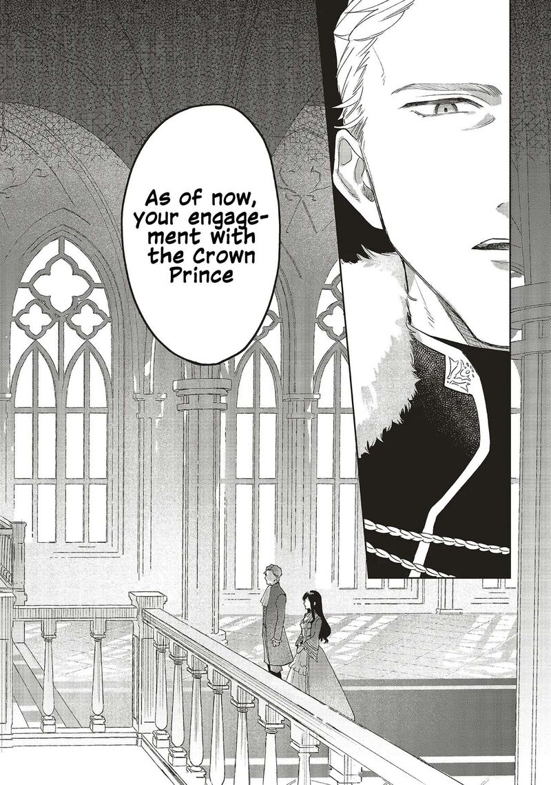 Gyakkou Shita Akuyaku Reijou Wa Naze Ka Maryoku Wo Ushinattanode Shinsou No Reijou Ni Narimasu 29 30