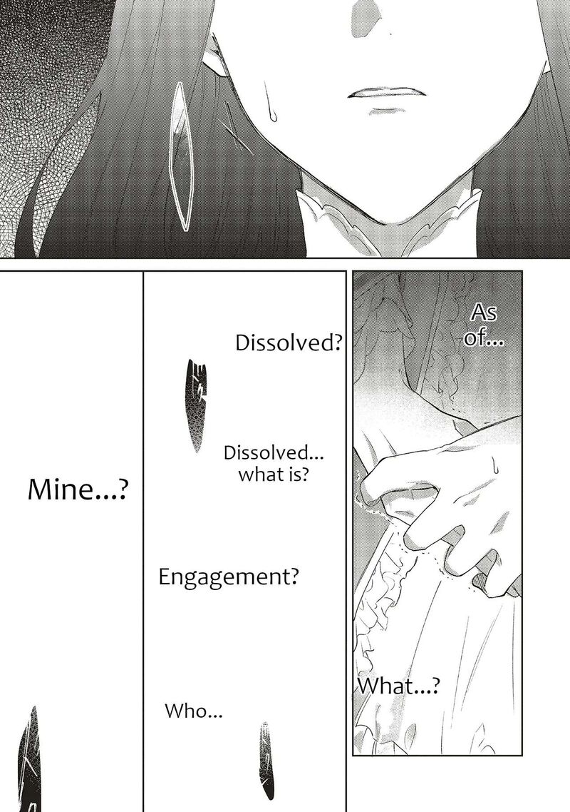 Gyakkou Shita Akuyaku Reijou Wa Naze Ka Maryoku Wo Ushinattanode Shinsou No Reijou Ni Narimasu 29 33