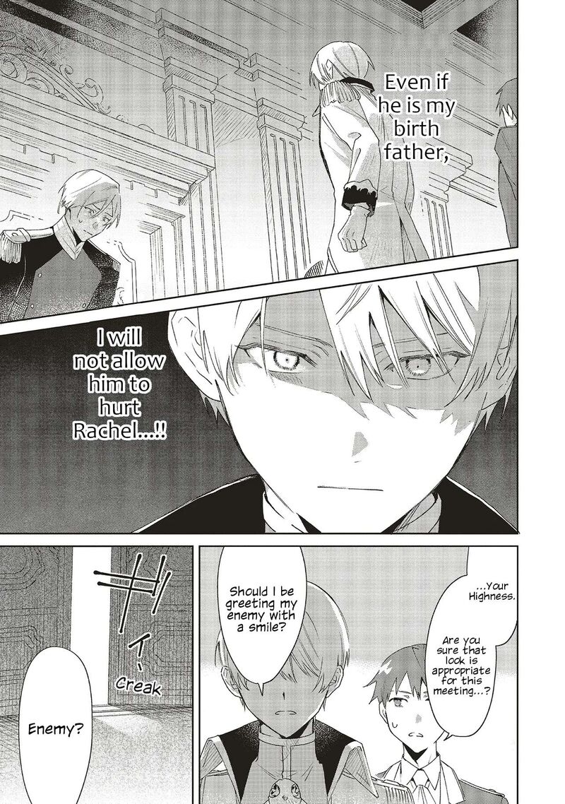 Gyakkou Shita Akuyaku Reijou Wa Naze Ka Maryoku Wo Ushinattanode Shinsou No Reijou Ni Narimasu 30 25