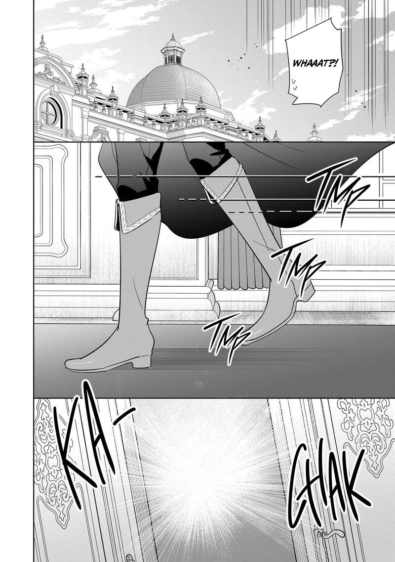 Gyakutaisarete Ita Shouka No Reijou Wa Seijo No Chikara Wo Te Ni Ire Mujikaku Ni Youshanaku Gyakushuu Suru 32 20