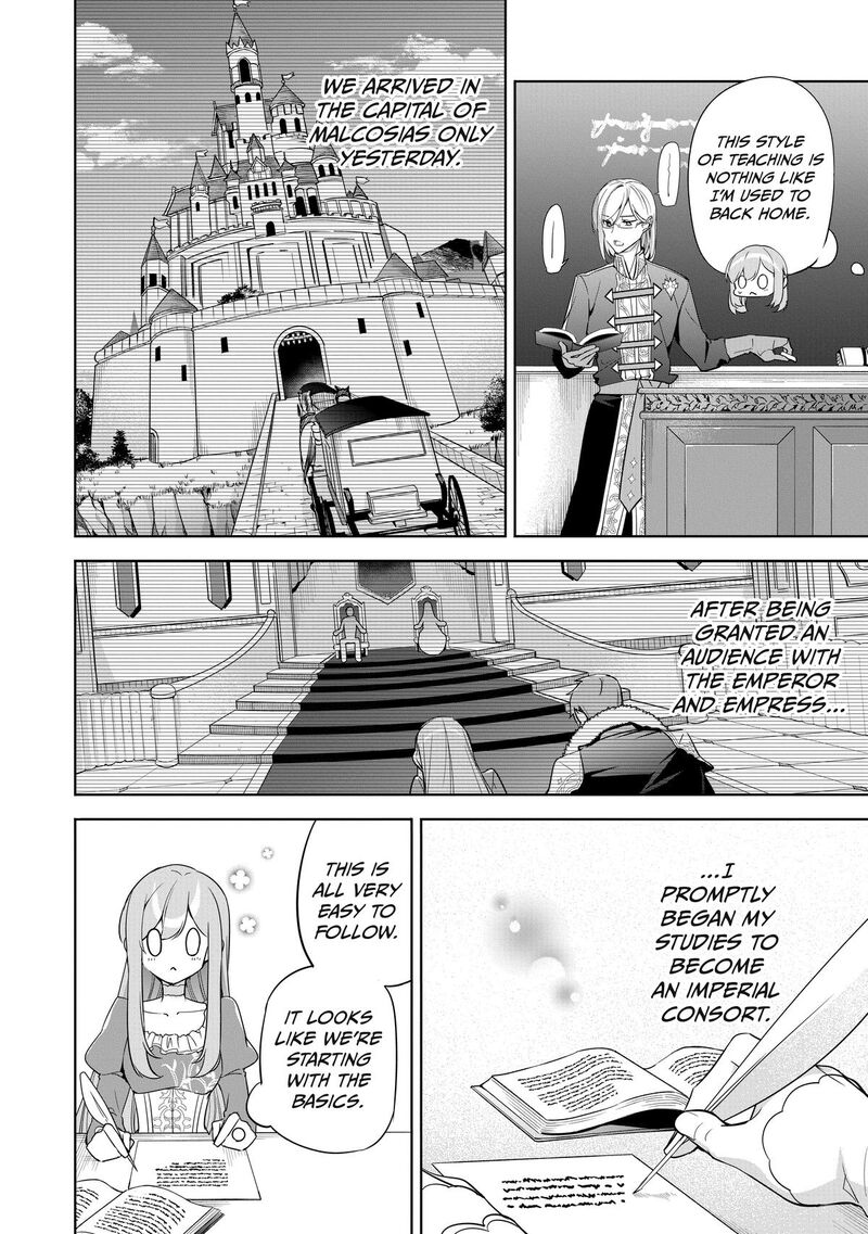 Gyakutaisarete Ita Shouka No Reijou Wa Seijo No Chikara Wo Te Ni Ire Mujikaku Ni Youshanaku Gyakushuu Suru 4 2