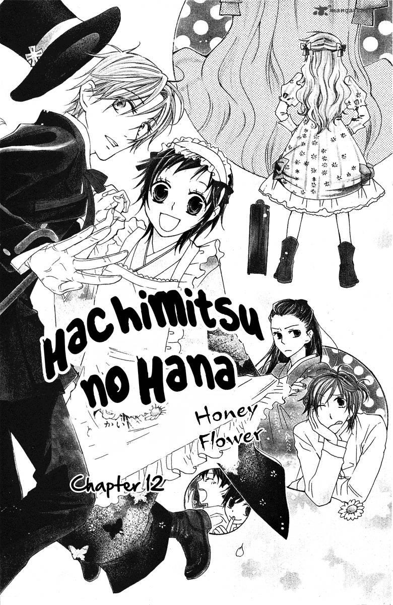 Hachimitsu No Hana 12 3