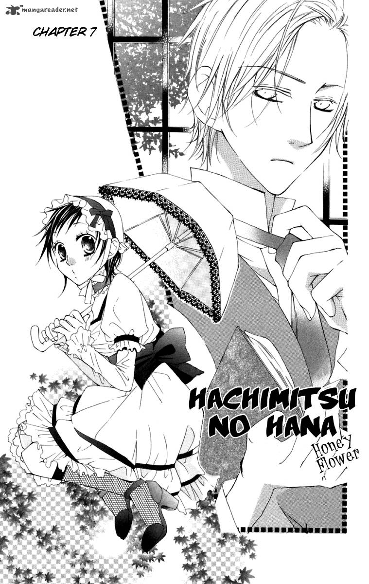 Hachimitsu No Hana 7 3