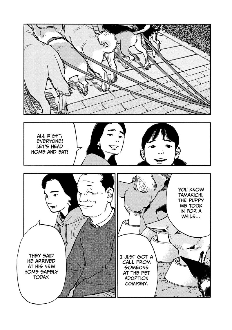 Heiwa No Kuni No Shimazaki E 15 5