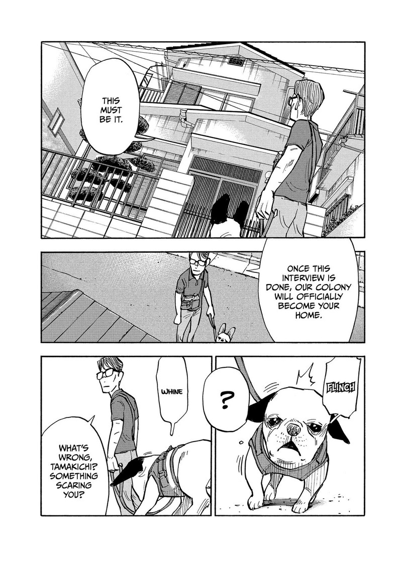 Heiwa No Kuni No Shimazaki E 16 6