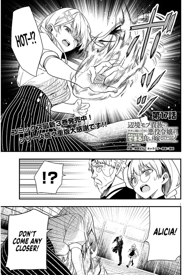 Henkyo Mob Kizoku No Uchi Ni Totsuidekita Akuyaku Reijo Ga Mechakucha Dekiru Yoi Yome Nanda Ga 17 1