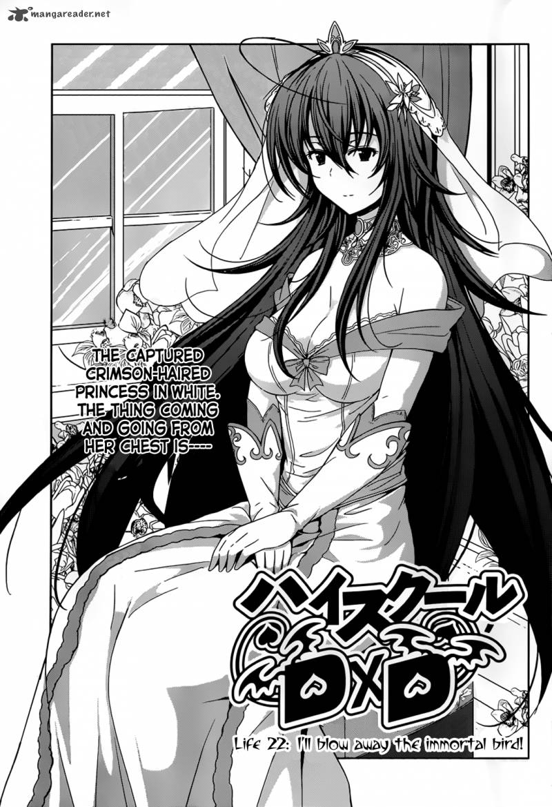 Highschool Dxd 22 2