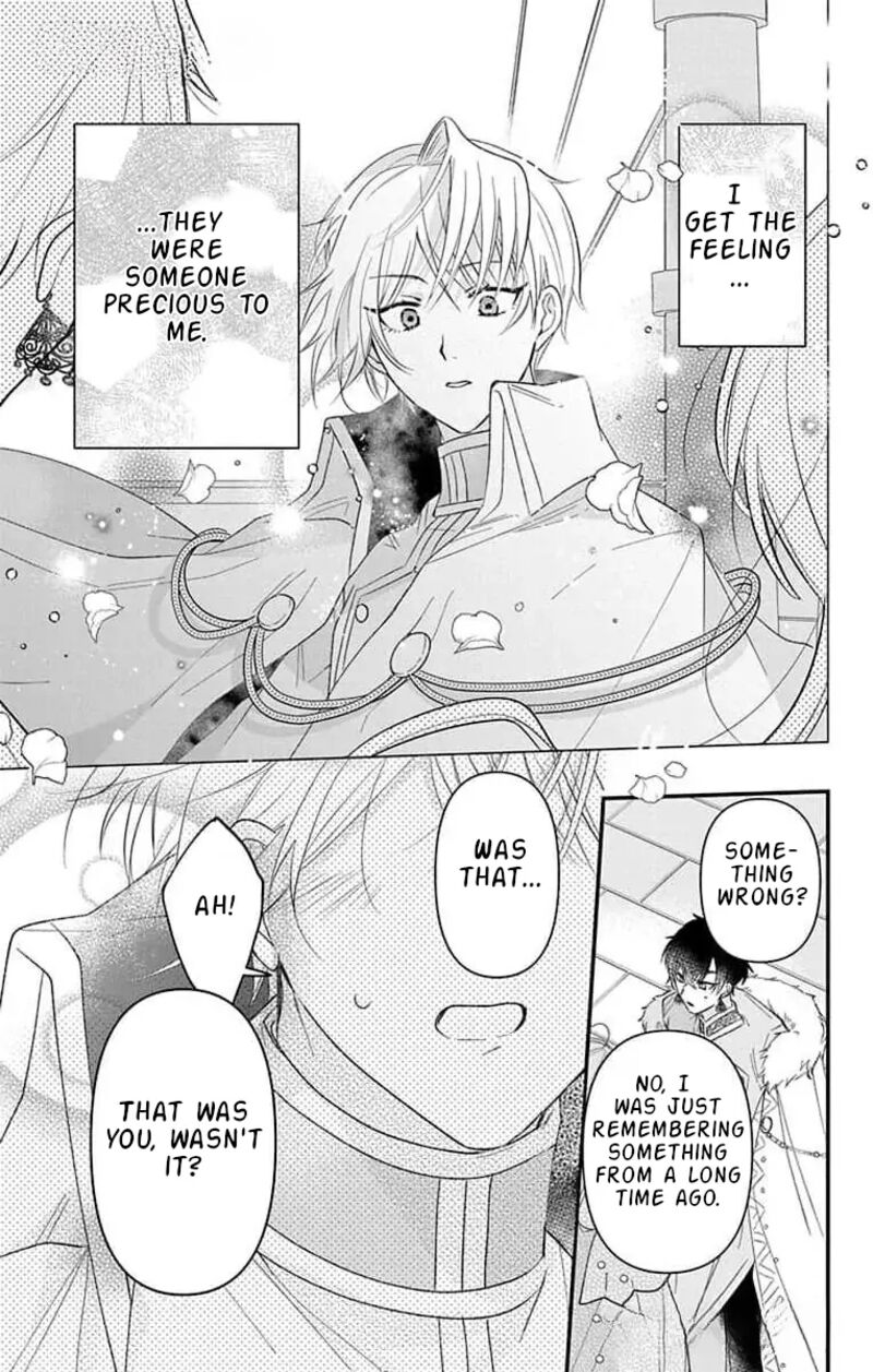 Hikikomori Hime To Dokuzetsu Kishi Sama 11 17