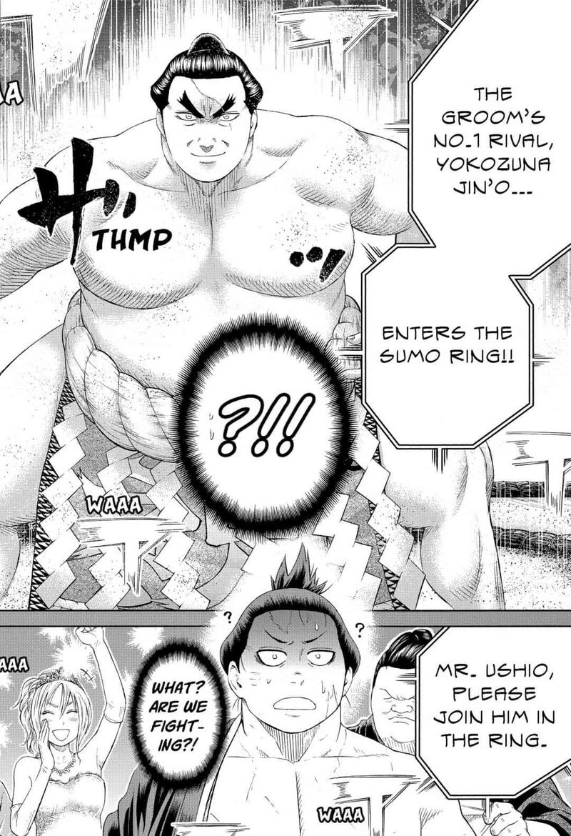 Hinomaru Zumou 250e 24