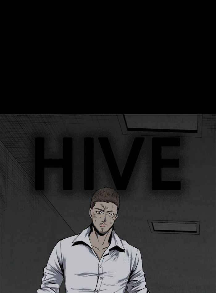 Hive 80 1