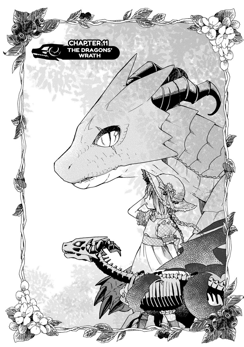 Hone Dragon No Mana Musume 11 1