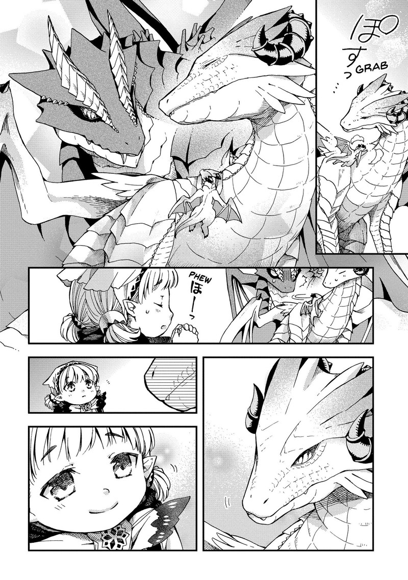 Hone Dragon No Mana Musume 12 14