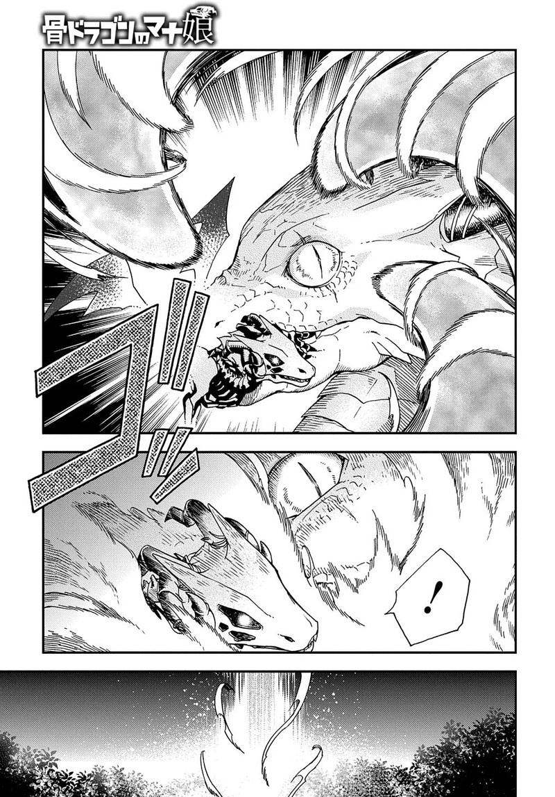 Hone Dragon No Mana Musume 5 29